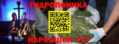 хмурый Абакан