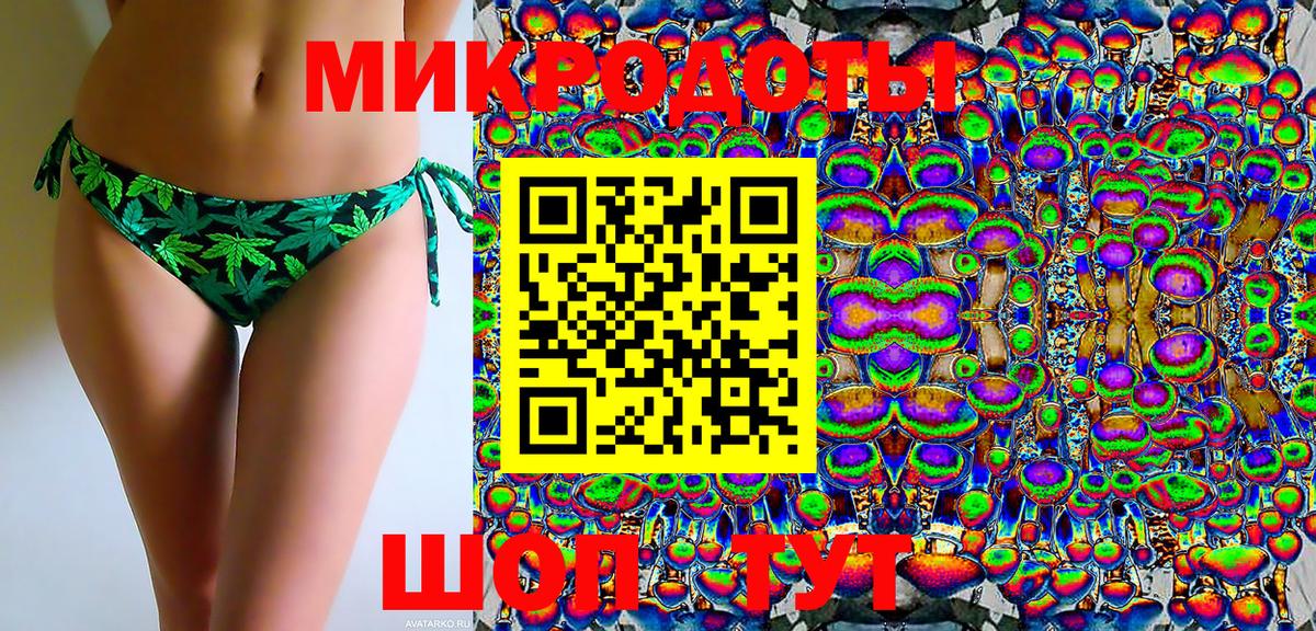 Галлюциногенные грибы Psilocybe Азнакаево